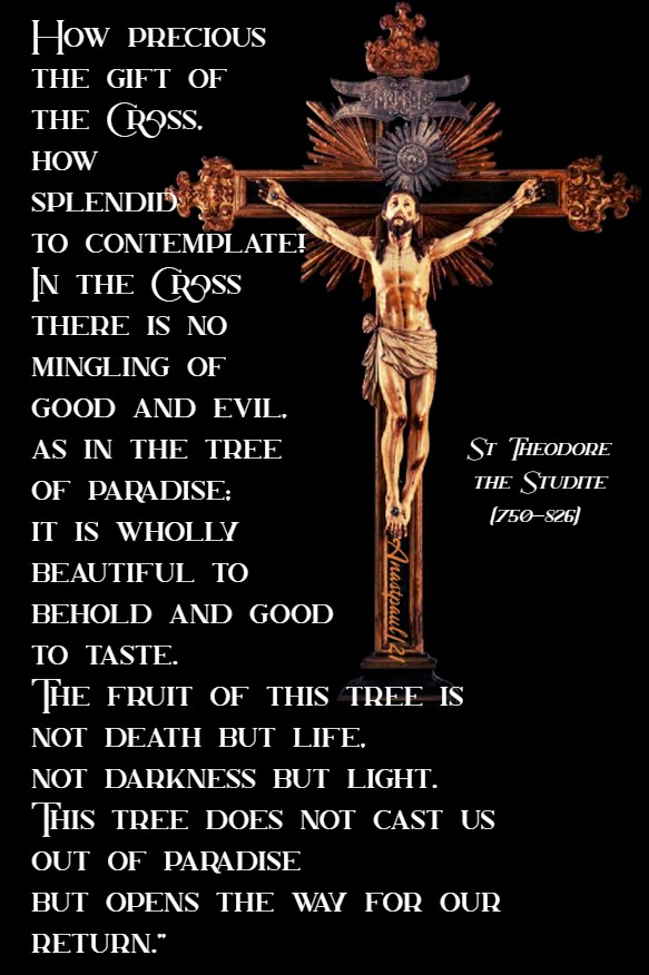 how-precious-the-gift-of-the-cross-st-theodore-the-studite-2-june-2021-1