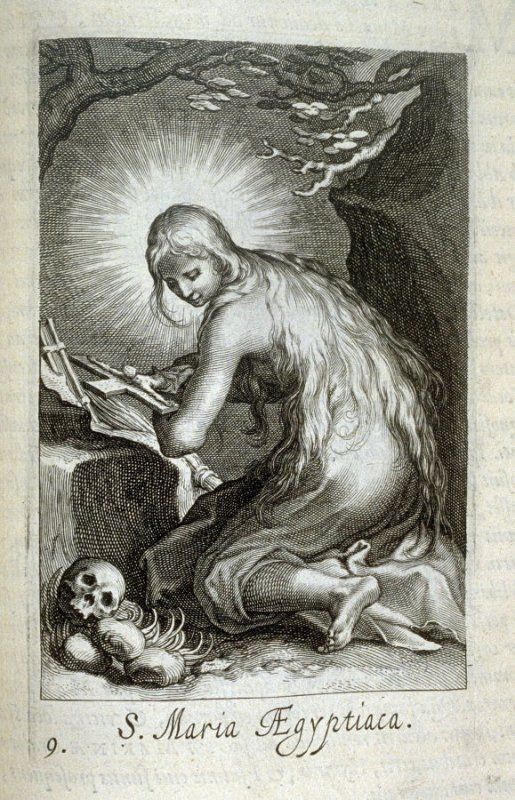 1cfeb14411442385009904bd6d130abd (1)