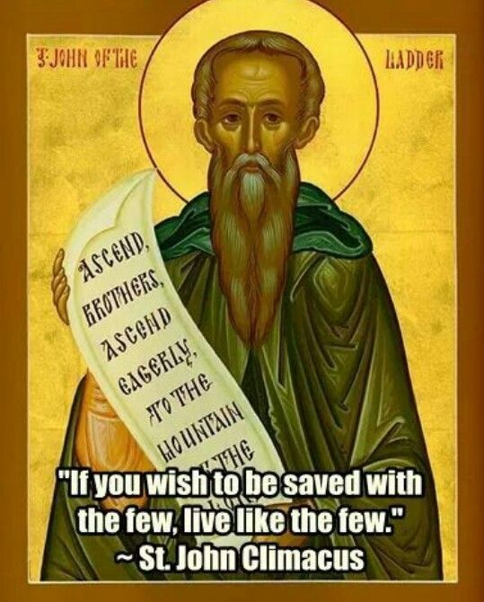 6b971cd394bf3cf7958d6d98119e4f94