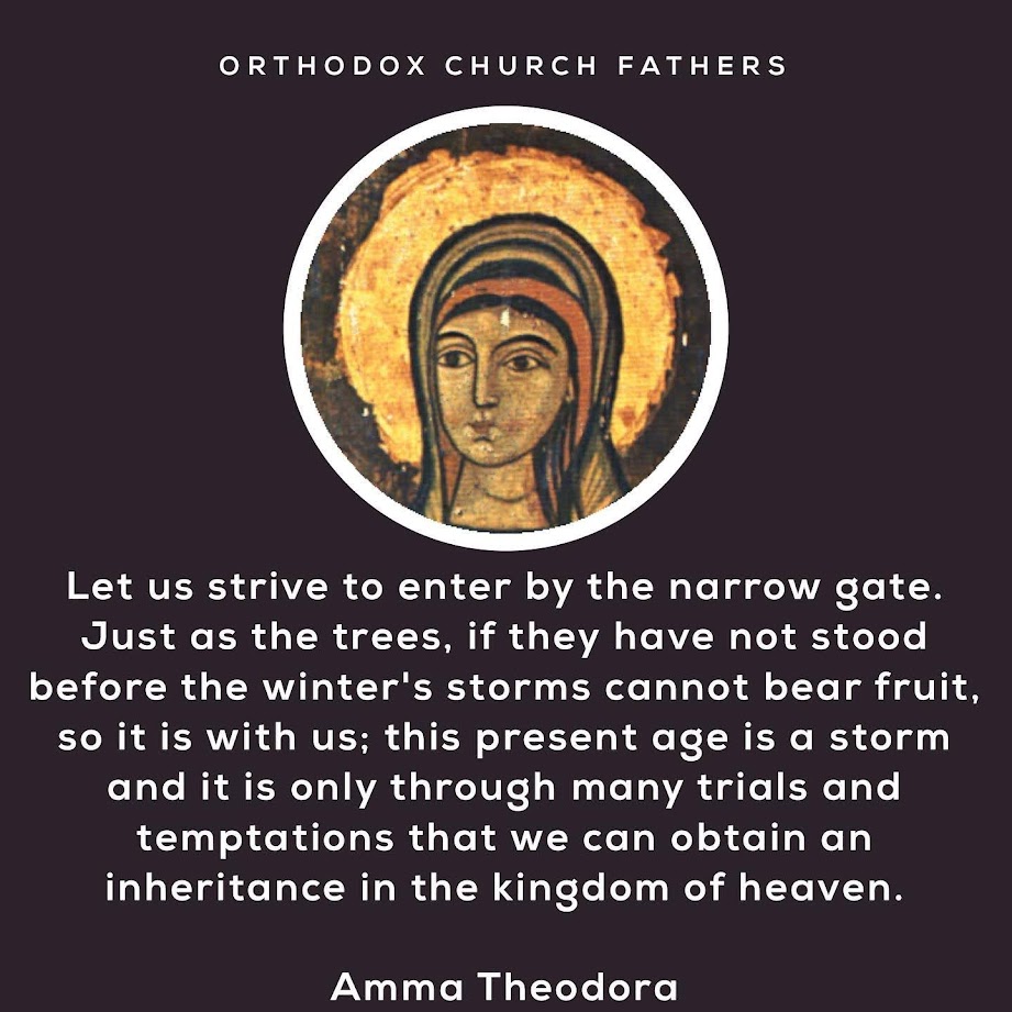 82424430_1505867569587886_1887831533264306176_o (1)