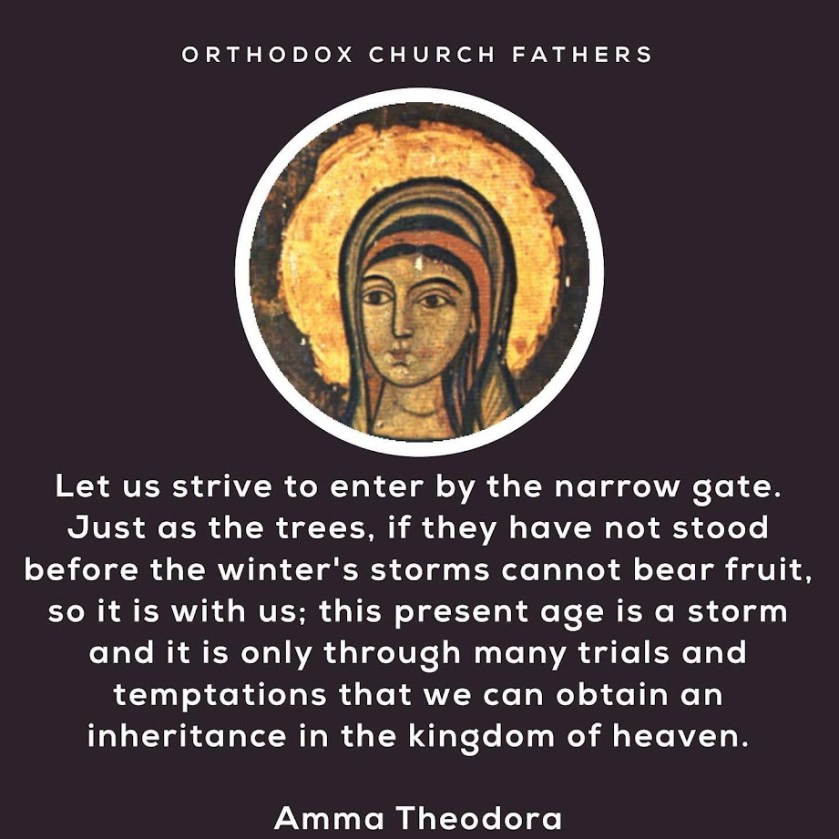 82424430_1505867569587886_1887831533264306176_o (1)