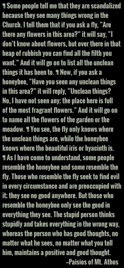 d566cdd1363ec8aaf3adb6cd459bf56d