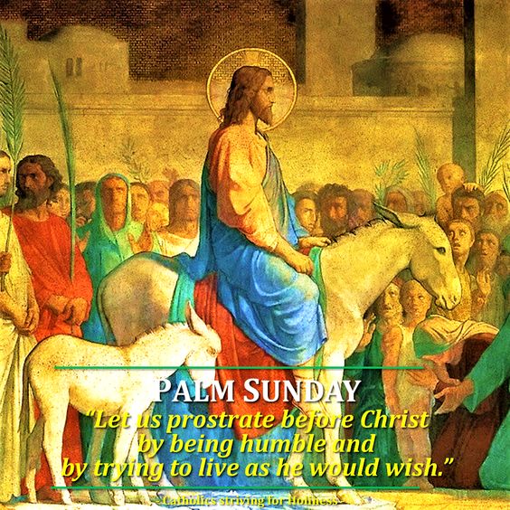 f714f762c772c1b7068115b8ae5eb892