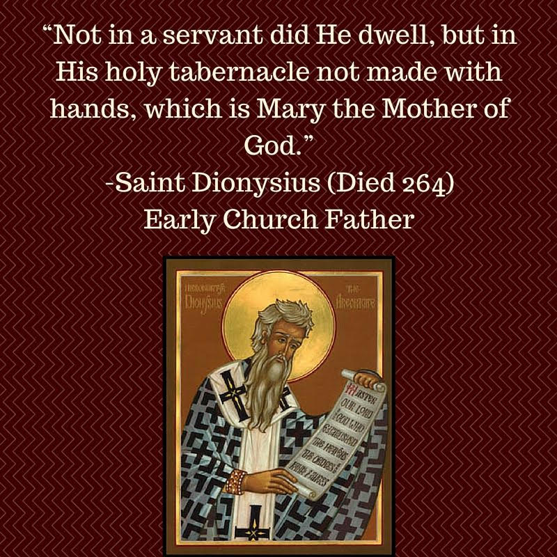 331a4ee86794245ca9a66c66b9ec3aa0