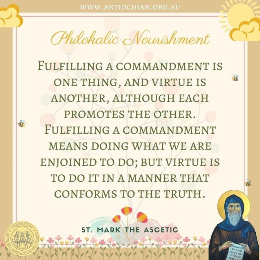 99042578_10163502981800297_5814138434511437824_n