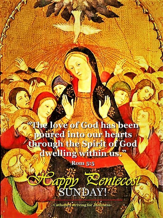 9f8c7fe2e338c854e8aed62e15e39a05