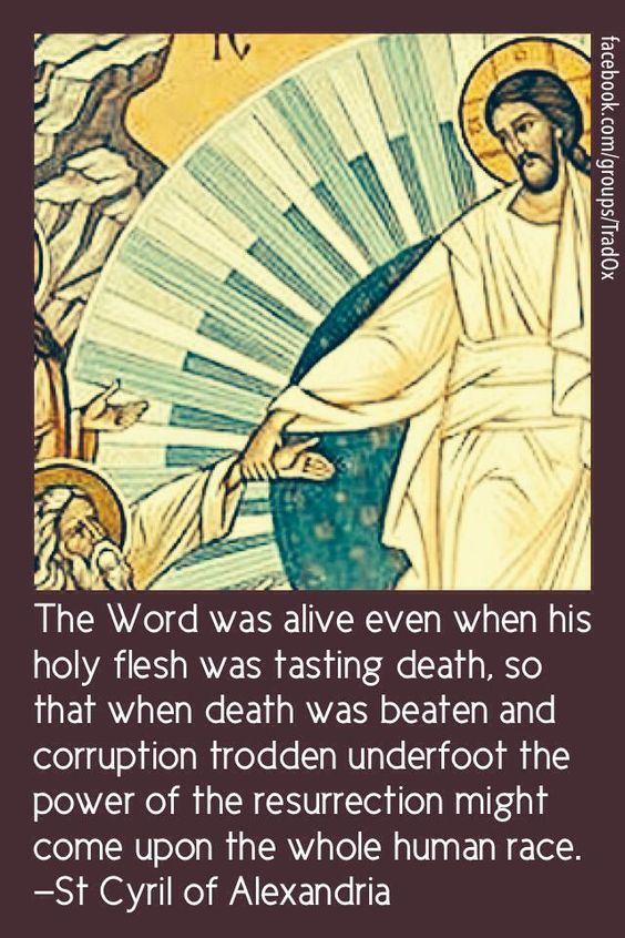 eb05c2cf91e4bc2caceeed2fd9f6b7f9