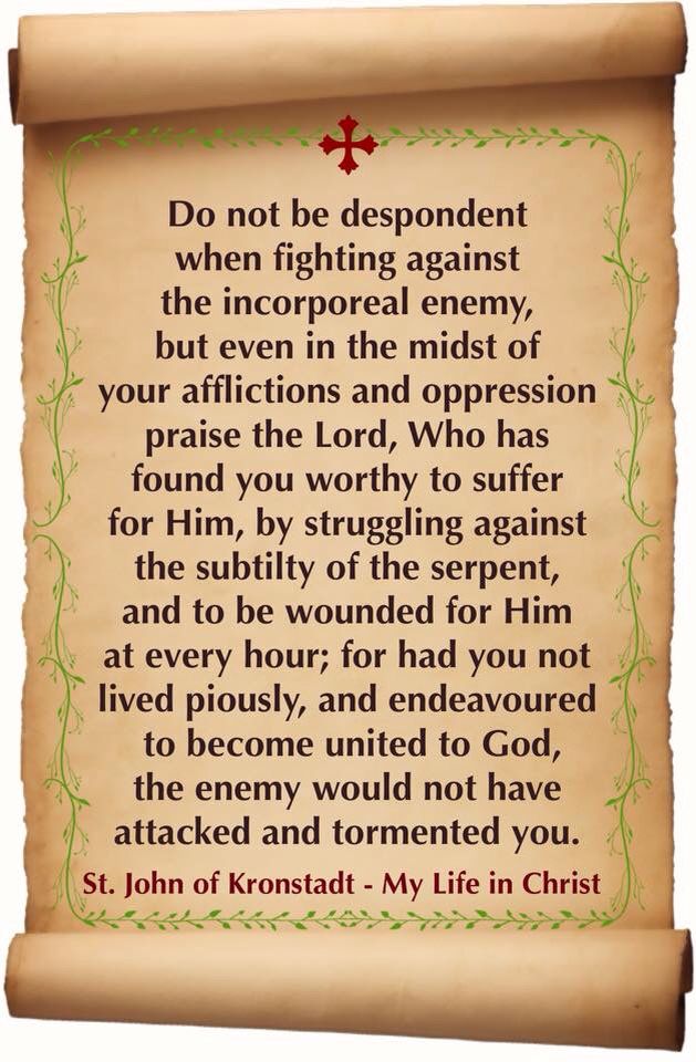 ad077f5193b48ff29799c7a99ea70d22