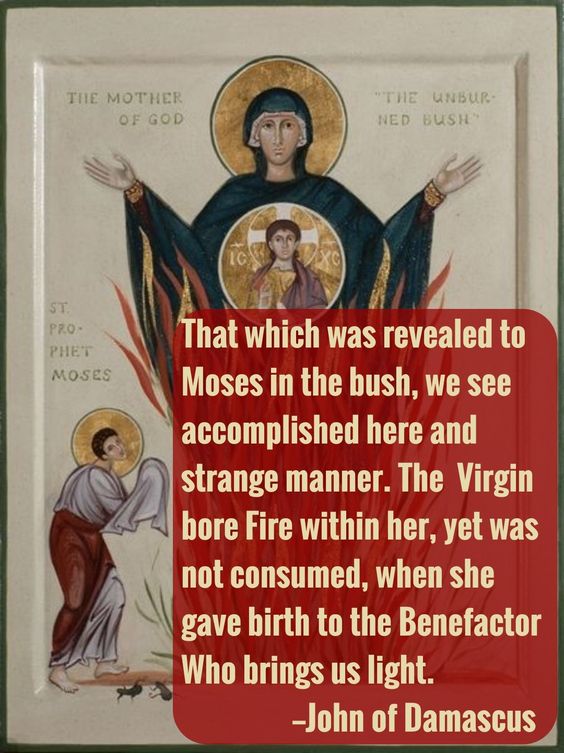 08fe7385981cc5f70d8d3372e967835a