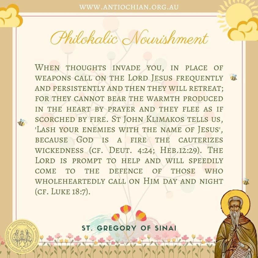 100351534_10163521605420297_8170248516891836416_n