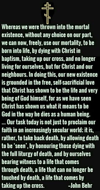 341cd398141d94ee02d6ef709d6e66ee