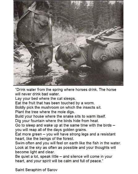 44b3231c3b6a028251cf913a1b7ac9ab