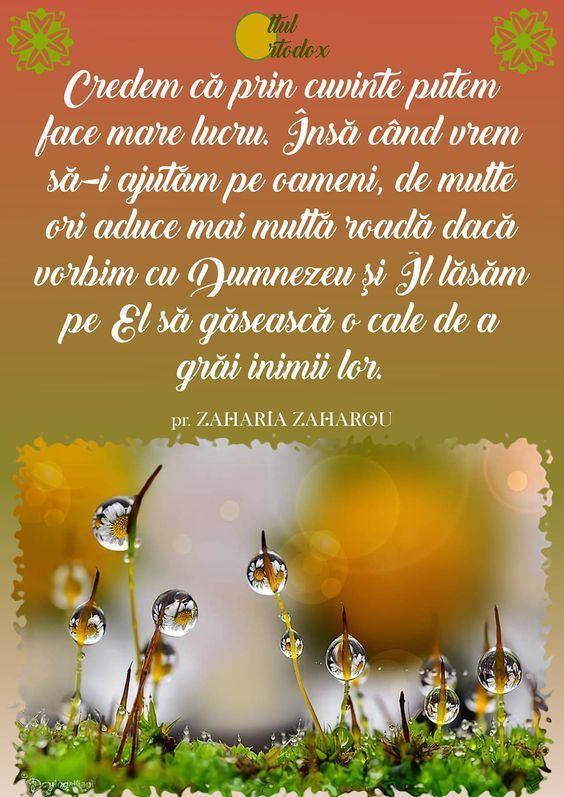 78a9f0a373e62f9182ee3d337c906831