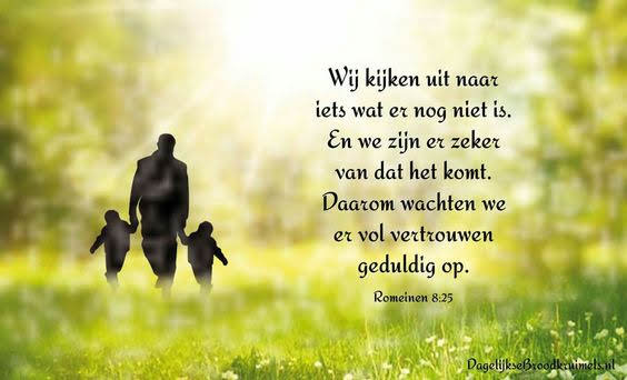 78bf445cfe285a69cffdea61c08d337e