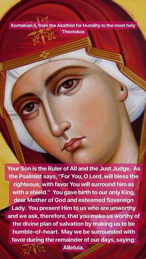 7ae97a5c595a23bde33c686e21a7a5aa