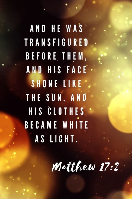 8b7bdd2ce01389fc6528cd38098389f7