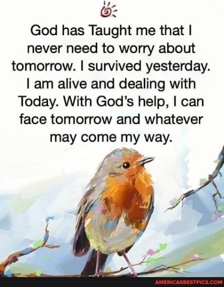 3d09312b31d554eafb41e1ed280aa5a1