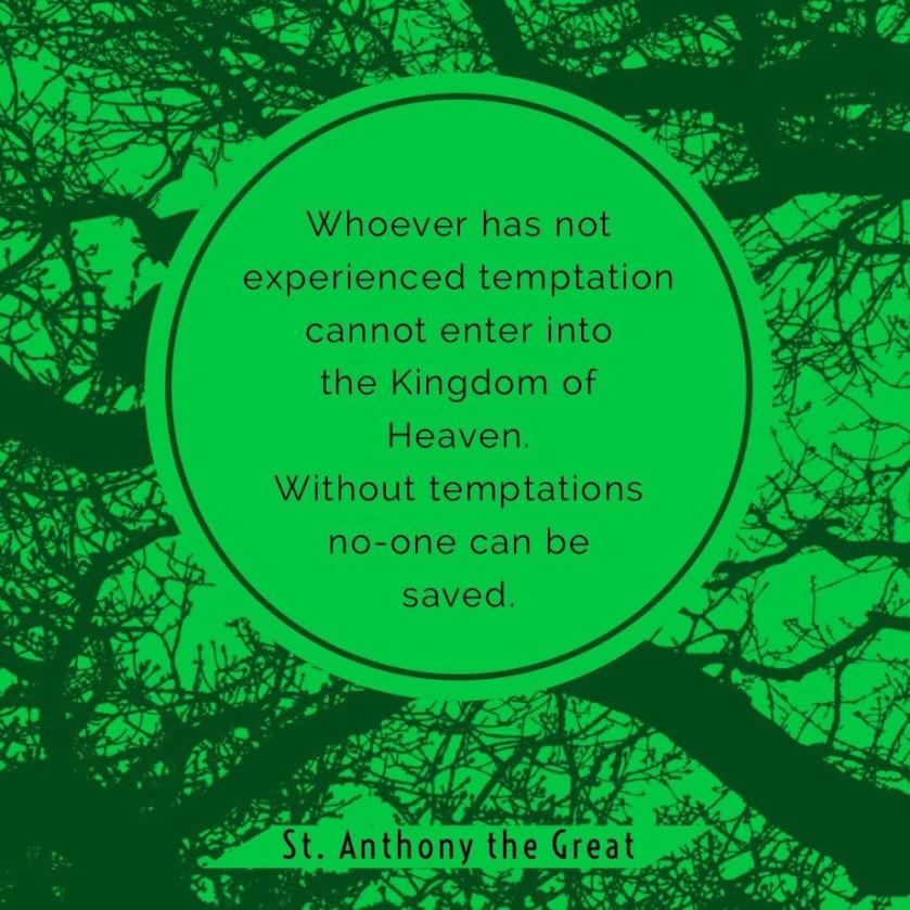 53155089_1164176040419119_4145511887322218496_o