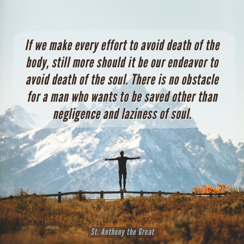 72978270_1333653283471393_6146855012468260864_o