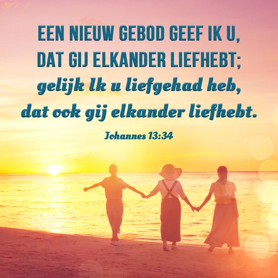 8ab5ae73040b75380cad0db12f4d11d5