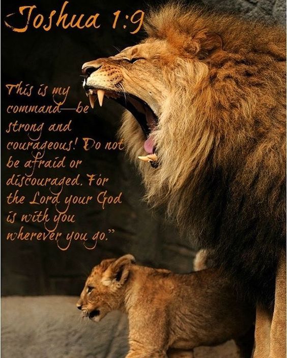 a763c8e037e4fb0a9e658459f727dd7b