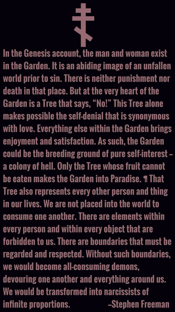 c261f387173a6707c6e221263c70f5c0