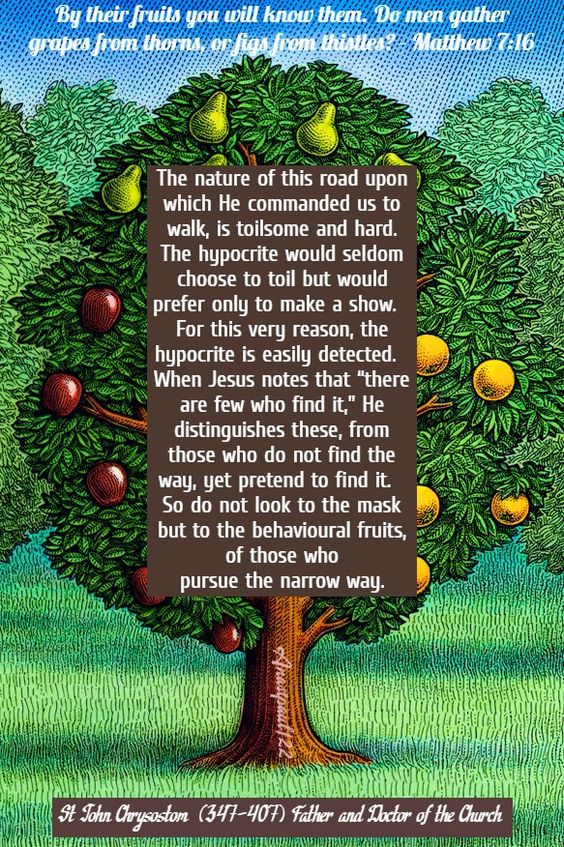 da99a683b1bf4e4a5a5dd8c6c5cf676d