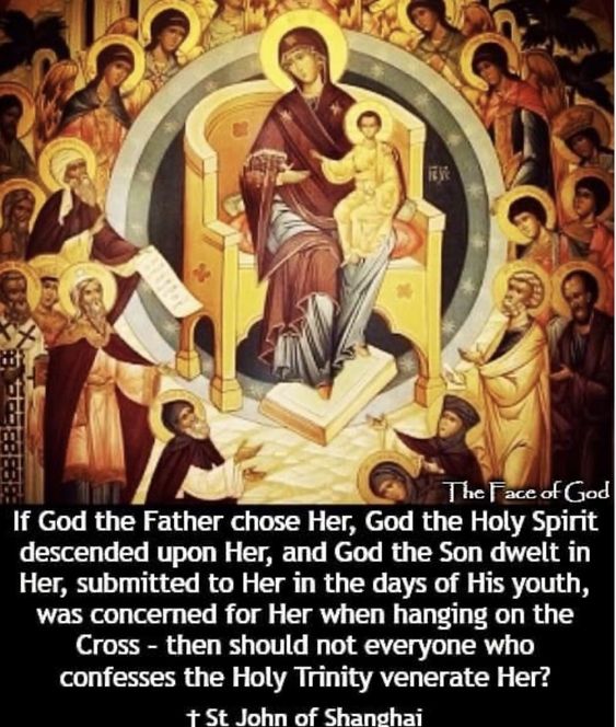 01dde475db08fcb7bc0caa25b5f2bf81