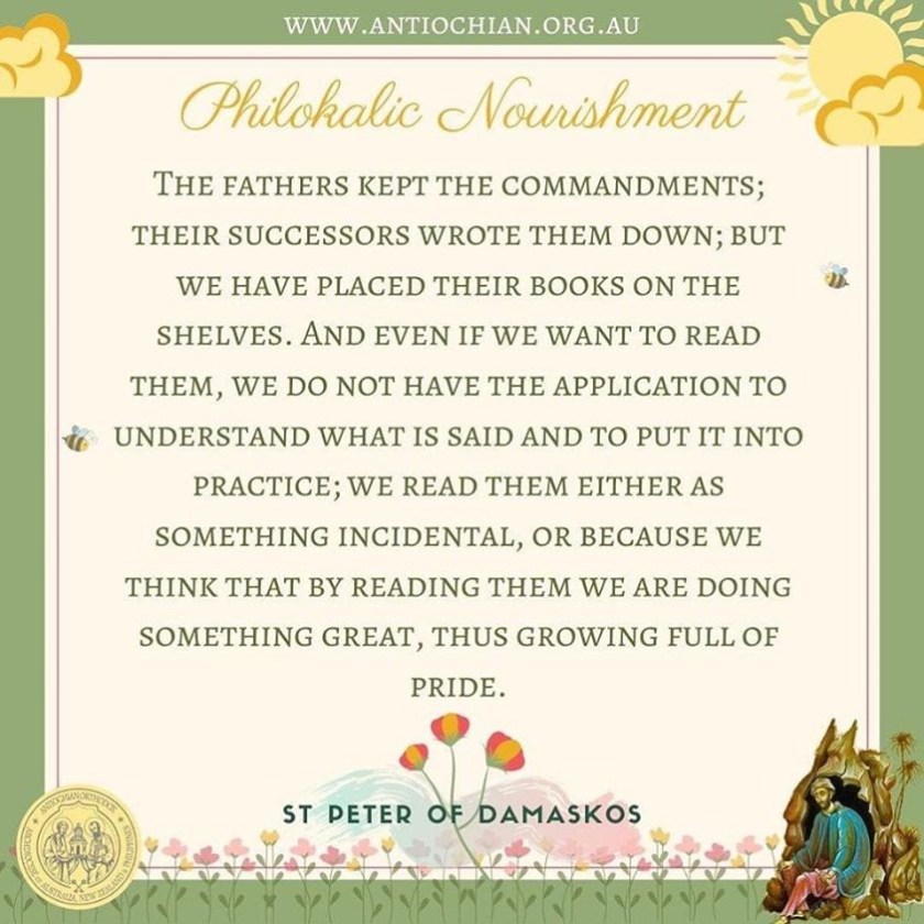 106496146_10163725507160297_7116321141355198422_n