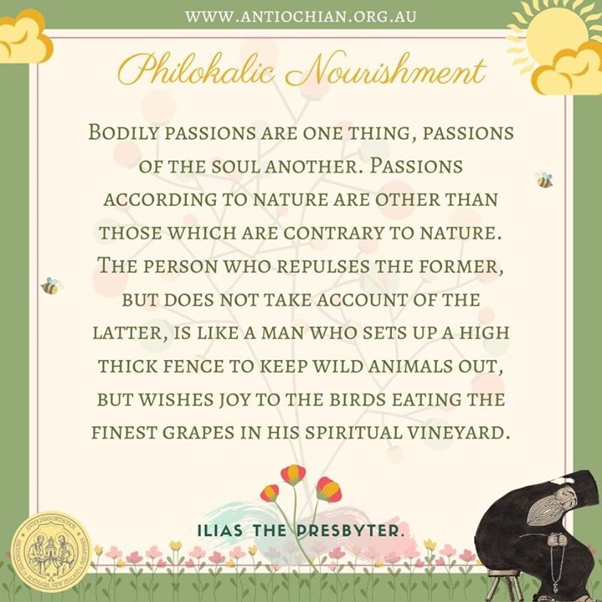 117643080_10163960396400297_8805822473313120372_n