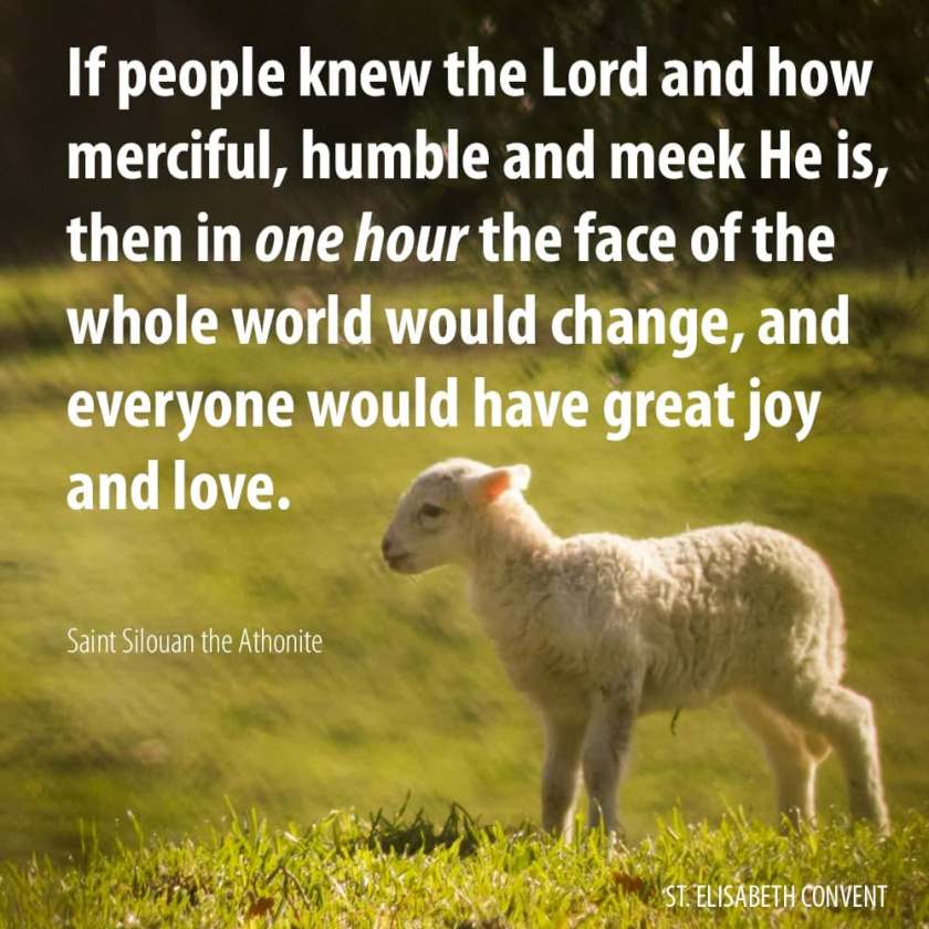 290726109_5337413913006887_6250507325430979407_n