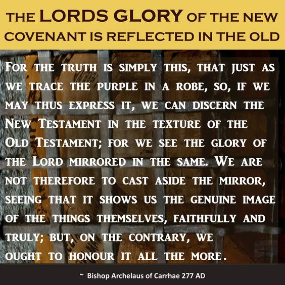 47db1c510819b6cff834863cb8229861