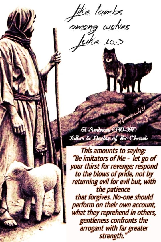 4b2cd47fae3a0f96db45e6b745fc2e6d