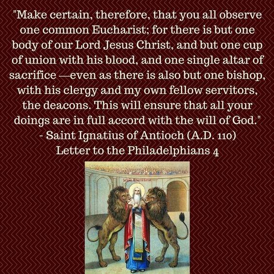 6bdddc46b62ce42a6d4ab0e7ee7dd68e