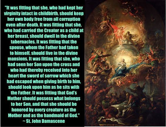 70d785614cebd0252859ea602f203ffe