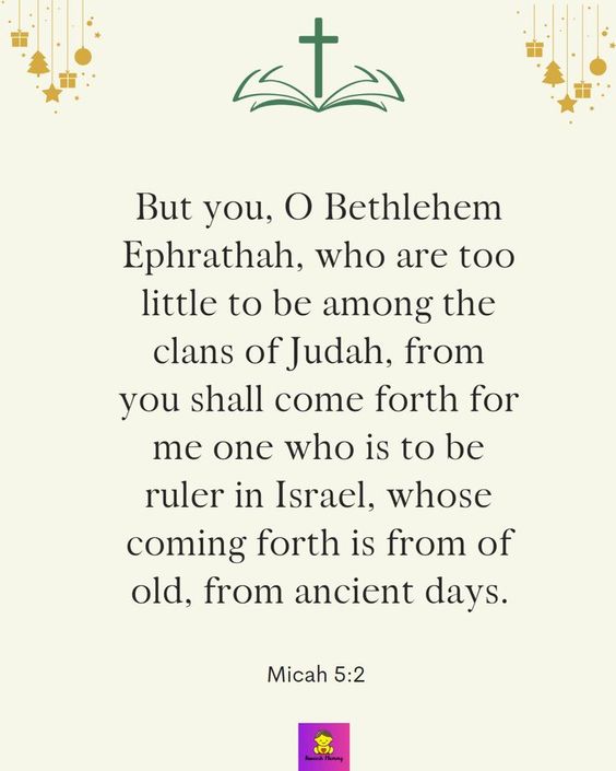 097998b2f704e134aa226fbb693d2dd9