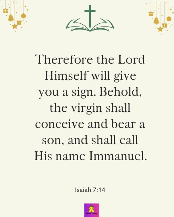 0a2dc3894cadc796f1ec9dc4e82687db