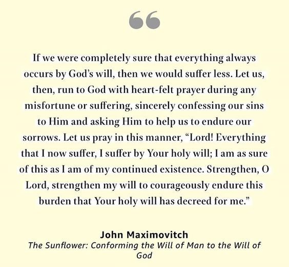 0cd15dc0d0ad7ad20430a3c1e939be24