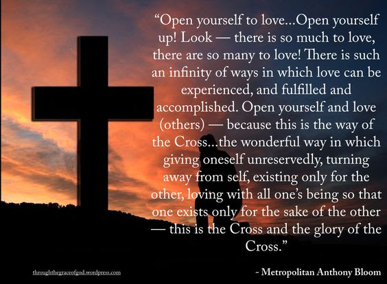 218e23a16a576a1bce4d3df6d4bddbde