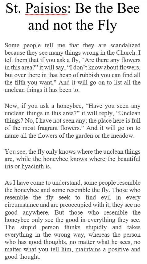 3accebce8f705ec0ae766391d5851671