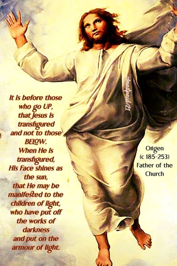 409d24f05a39afc64d2d5baf6e76af9e