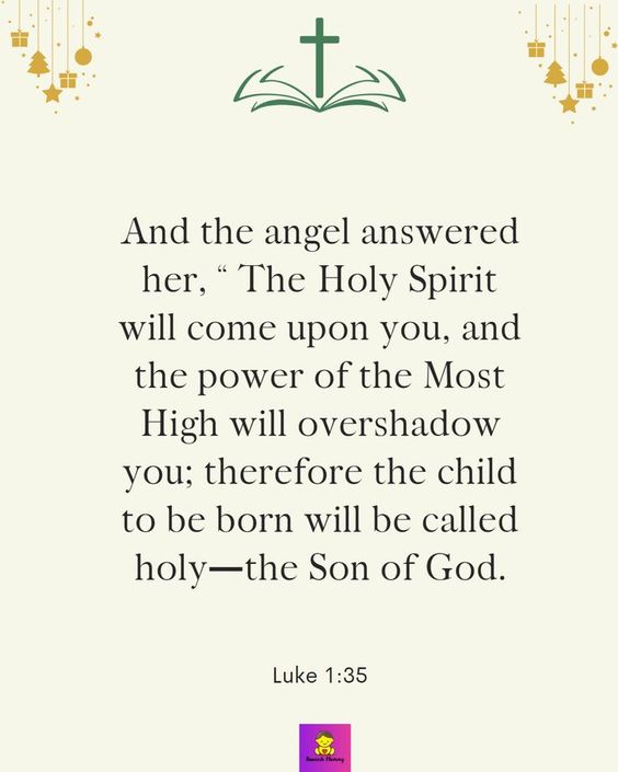 78b6124a096336605cda4aee0ecc0061