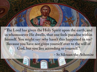 0ed2a116aac90873ea35c8908a6be0d2