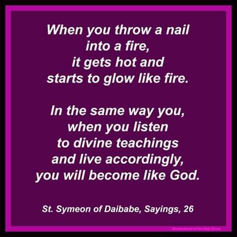 20ad1593ff26b27567229b48d558b05e