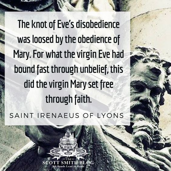 282ede4b65df76e8f5ad65e9925d6a4e