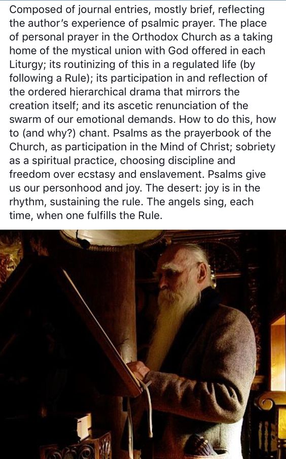 52ec7d9f16de49a7e241a461977d3929