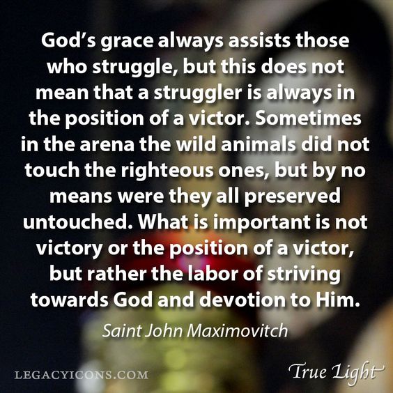 5af0d7fe318cef8f67d03c659959e82c