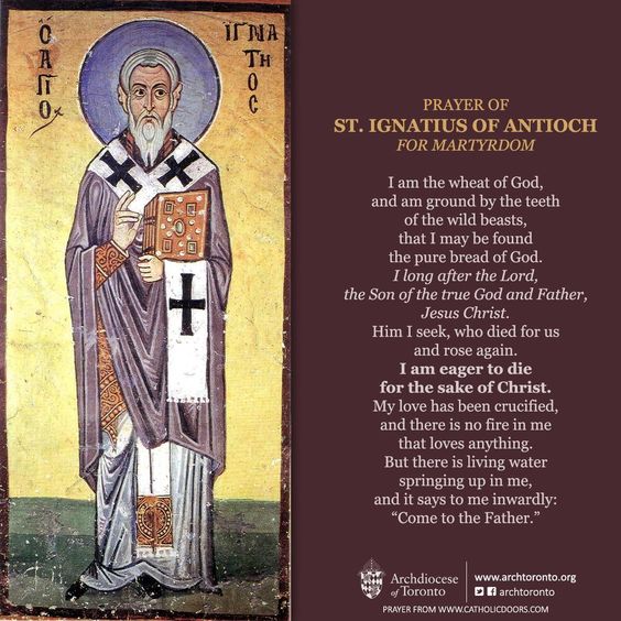 6a22087799bb44d0197363b0a67e5a0c