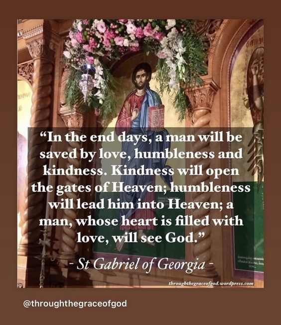 8ca95ac488f4dff6753730dd0da11b49 (1)