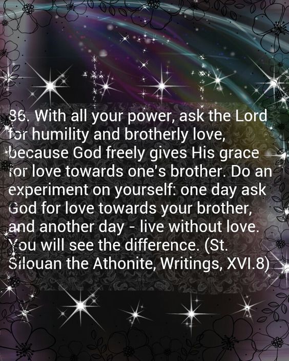 bba5ed7a93f42906888dfcfc9d150c56